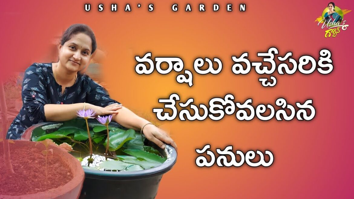 వర్షాలు వచ్చేసరికి ఇలా చేసుకోవాలి|Prepare your garden for Monsoon|Monsoon tips for garden in telugu