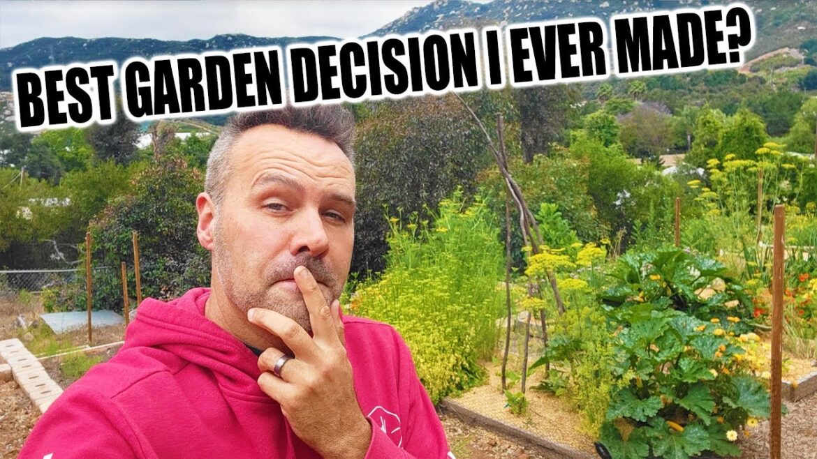 California Garden TV: My Secret to Organic Gardening Success My Secret to Organic Gardening Success