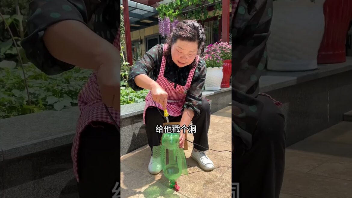 Friends, today I will share a practice of a small vegetable garden to drive away birds.