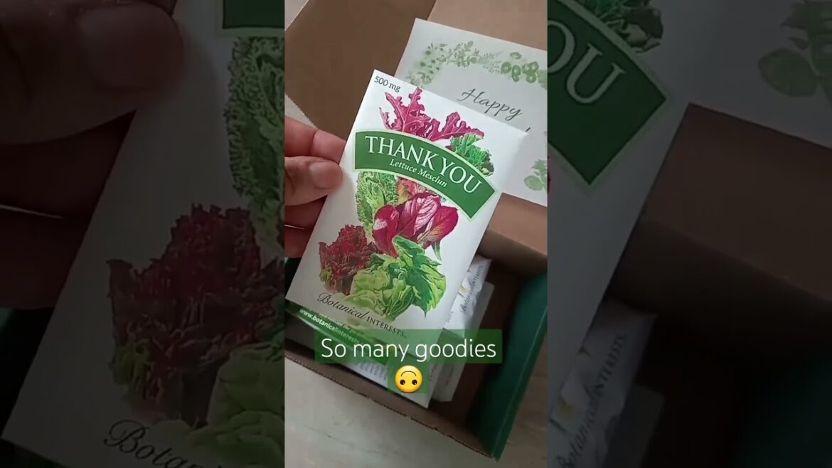 SEED MAIL | Small Space Gardening | Container Garden SEED MAIL | Small Space Gardening | Container Garden