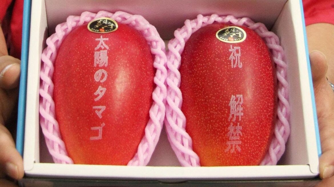 Unveiling the Exquisite Miyazaki Mango ｜ The Epitome of Luxury