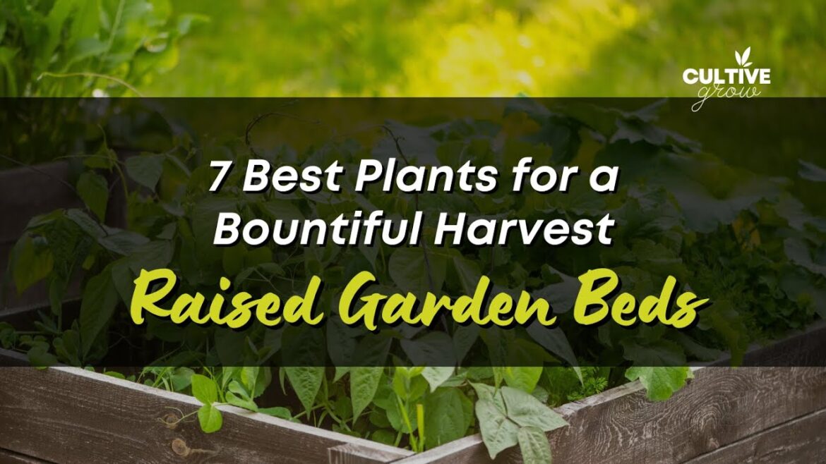 7 Best Plants for a Bountiful Harvest - Raised Garden Beds
