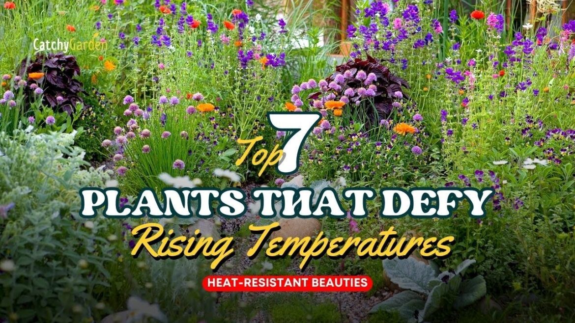 Heat-Resistant Beauties: 7 Plants That Defy Rising Temperatures 🌷🌹☀️