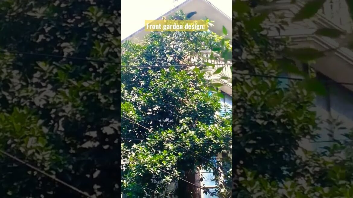 Front garden design. Decoration ideas. Garden planning. #garden #design #viral #shorts #short. Front garden design. Decoration ideas. Garden planning. #garden #design #viral #shorts #short.