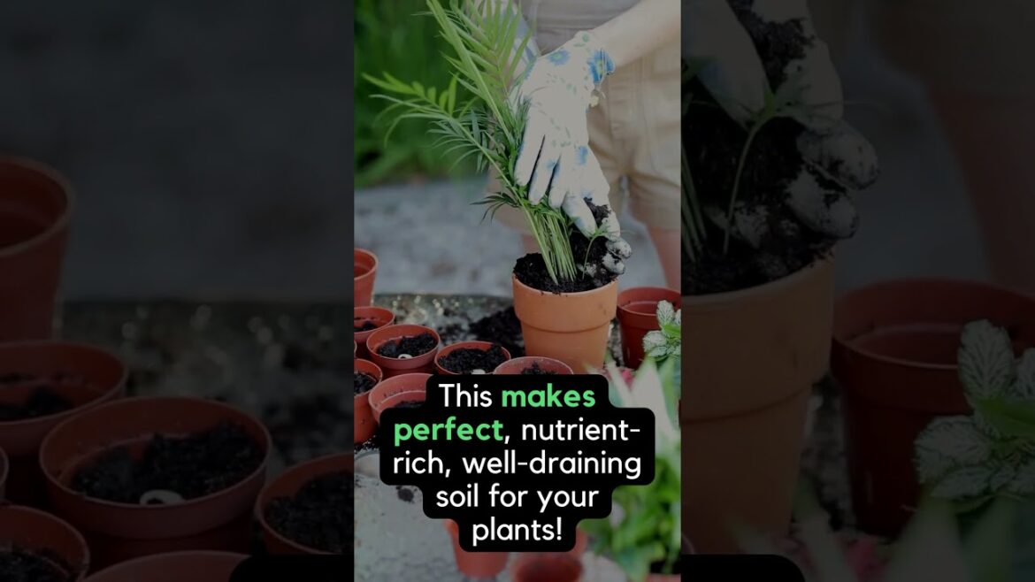 Hey Green Thumbs, ready for a rapid fire gardening tip Hey Green Thumbs, ready for a rapid fire gardening tip