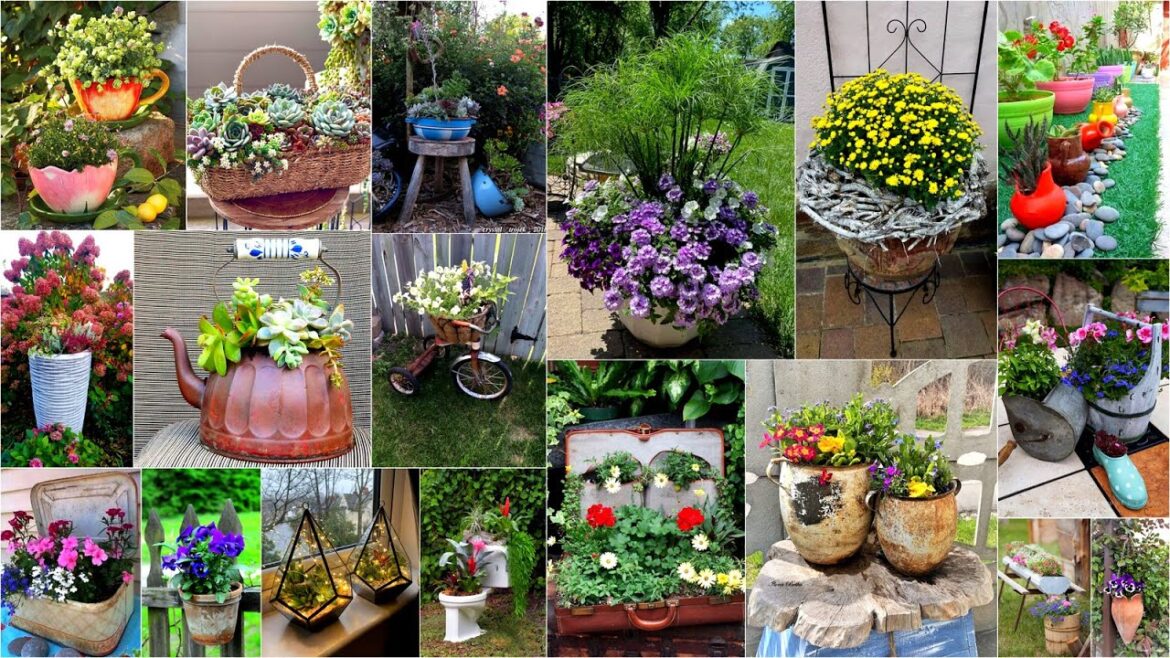 50+ Latest Rustic Planter Ideas for your Garden 2024! Must SEE! 50+ Latest Rustic Planter Ideas for your Garden 2024! Must SEE!