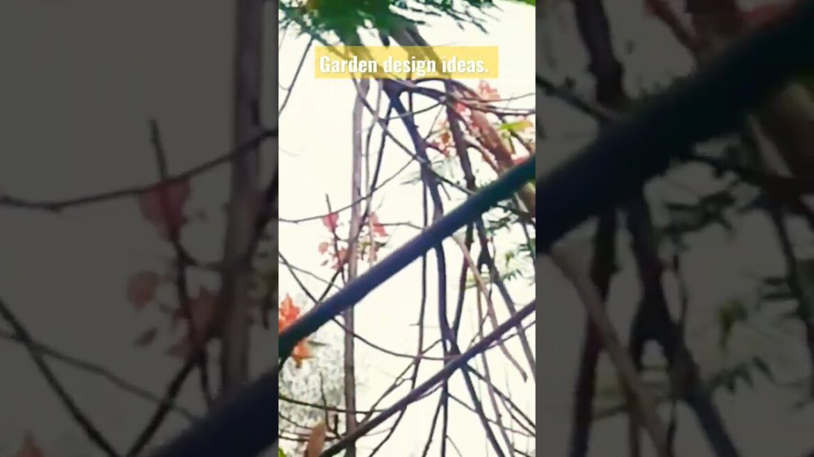 Garden design ideas. Flowers tree. Designers idea. #viral #shorts #short #video #flowers. Garden design ideas. Flowers tree. Designers idea. #viral #shorts #short #video #flowers.