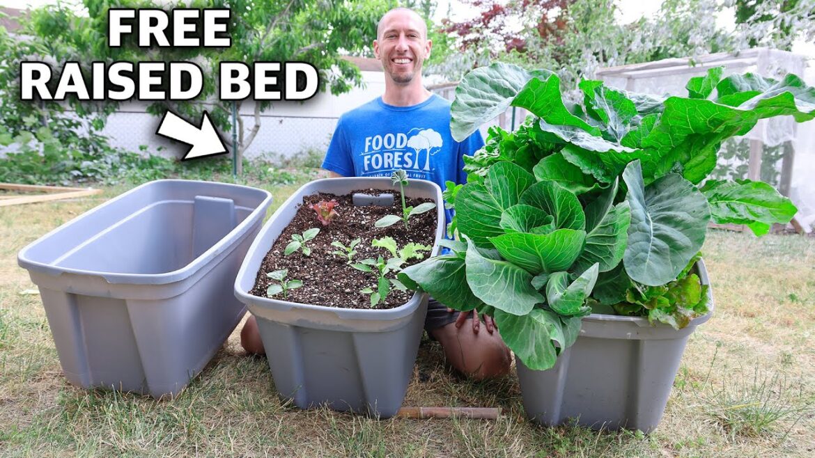 How to Build a RAISED BED in a TOTE, FREE Container Gardening!