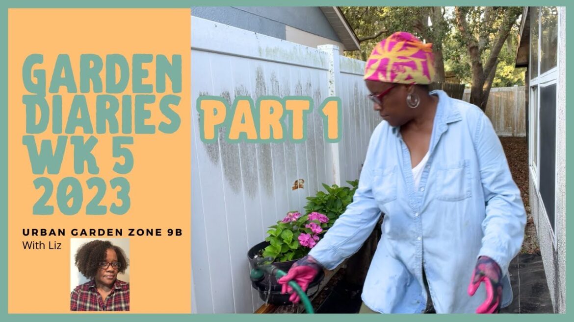 Zone 9B Container Small Space Garden Diaries, Garden Ideas, Garden Tips, Weekly Update June 9 Part 1