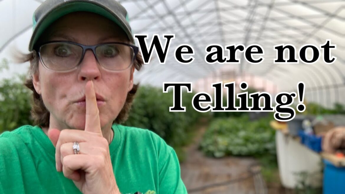 Every Man For Himself!