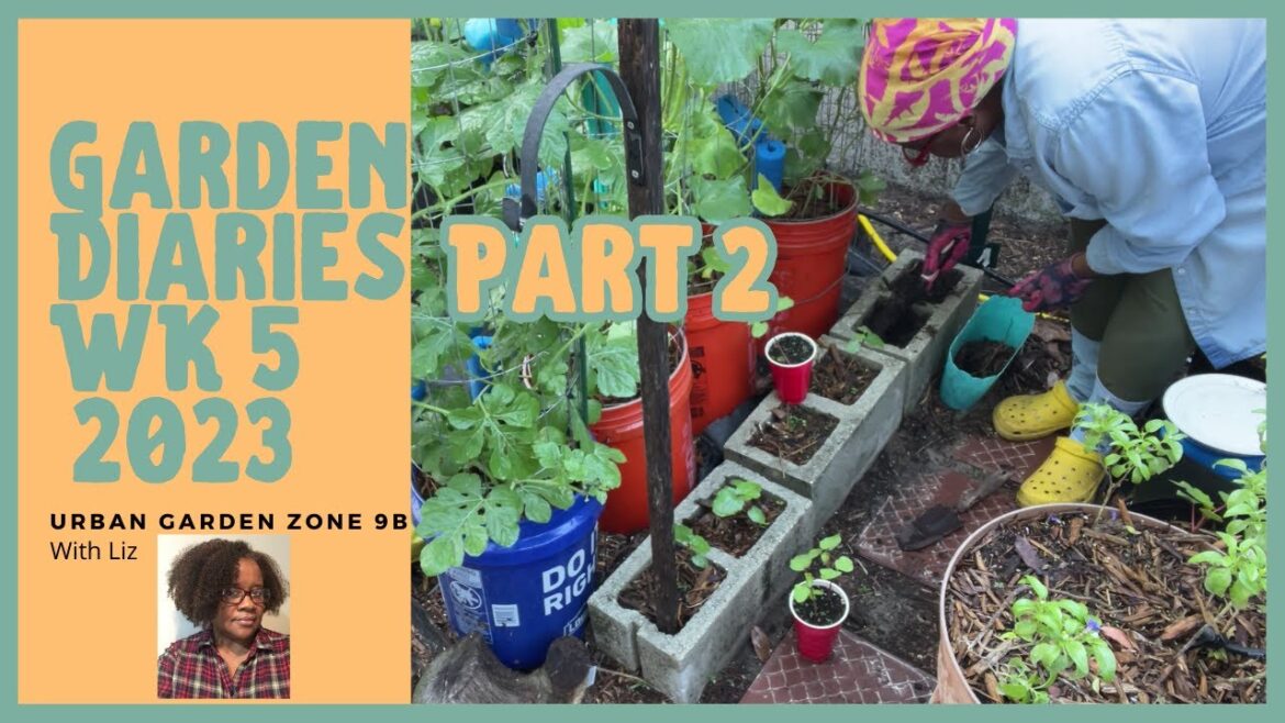 Zone 9B Container Small Space Garden Diaries, Garden Ideas, Garden Tips, Weekly Update June 9 Part 2