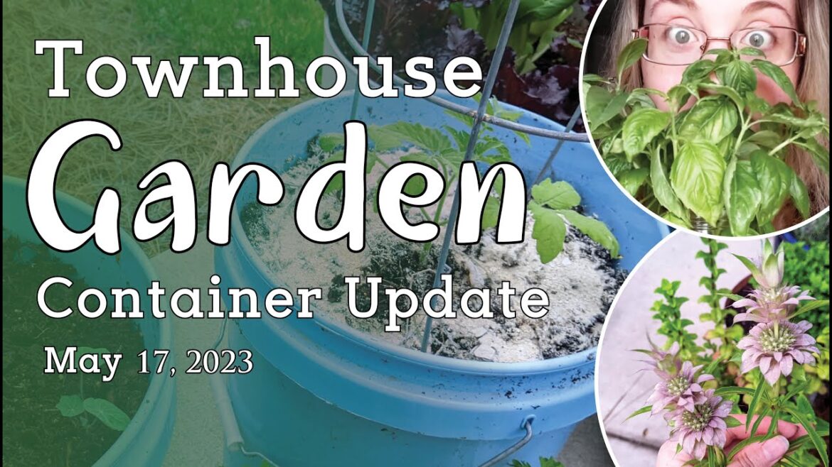 May Update on My Townhome Container Garden May Update on My Townhome Container Garden