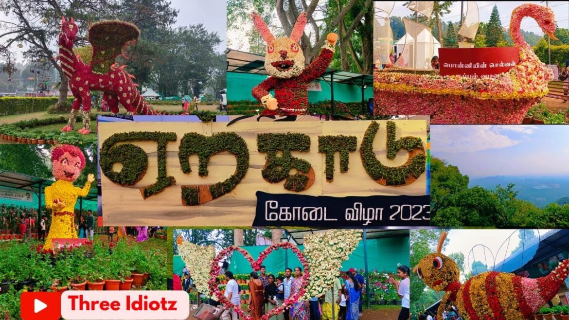 ஏற்காடு மலர்கள் கண்காட்சி 2023|Yercaud flower show 2023 ஏற்காடு மலர்கள் கண்காட்சி 2023|Yercaud flower show 2023