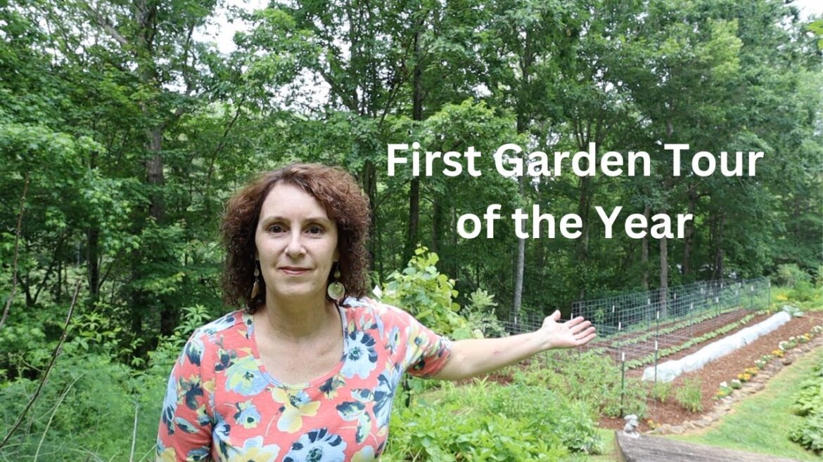 Making a Garden in Appalachia  - FIRST Garden Tour 2023