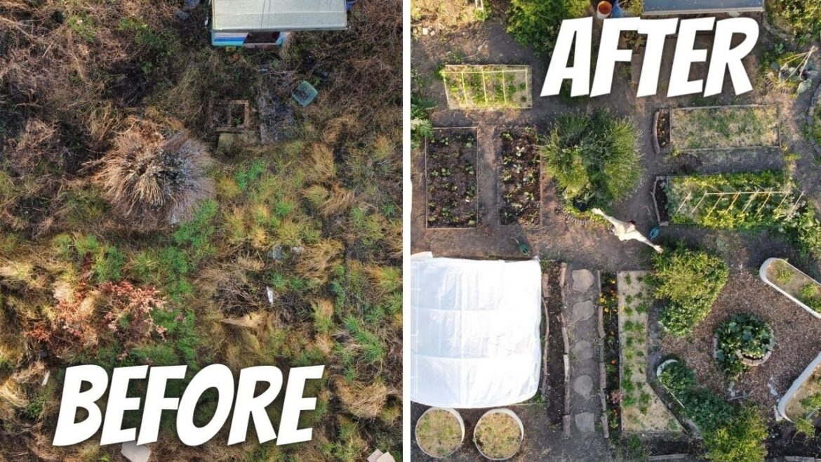 London Garden transformation | 5 months in 12 minutes London Garden transformation | 5 months in 12 minutes