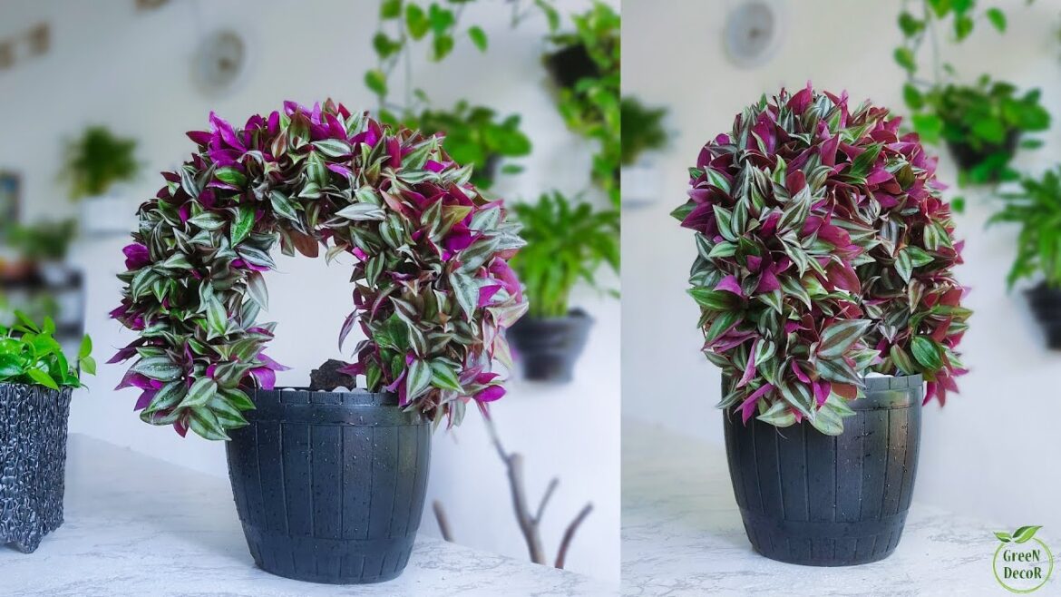 Greening Your Space: Designing Your Own Tabletop Indoor Garden for Every Space//GREEN DECOR Greening Your Space: Designing Your Own Tabletop Indoor Garden for Every Space//GREEN DECOR