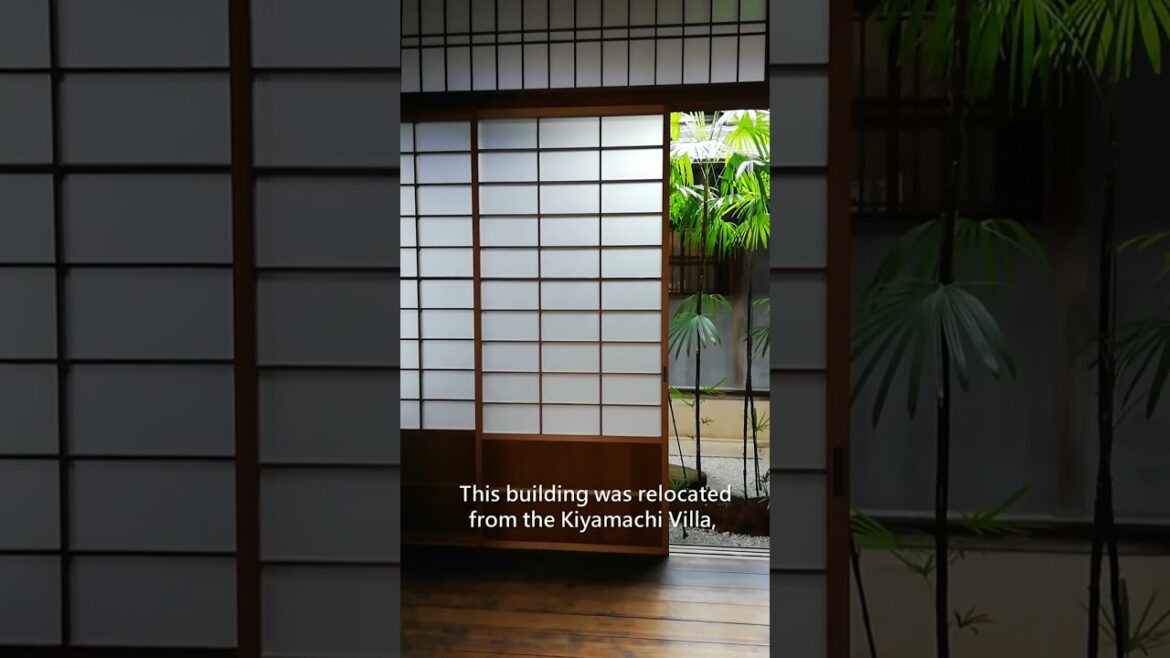 Japanese Garden in KYOTO | Tsubo niwa and Pond garden