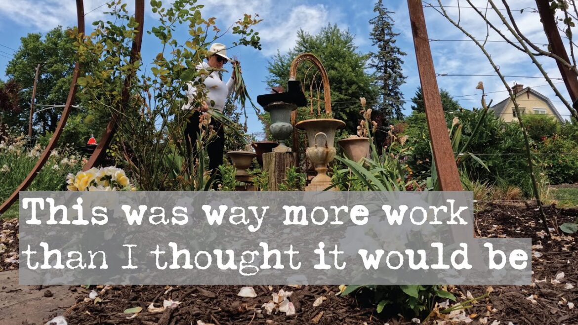 In My Garden Vlog: Way More Work Than I Thought In My Garden Vlog: Way More Work Than I Thought