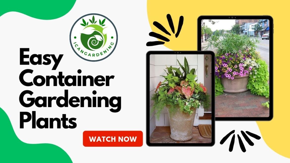 Easy container gardening plants | Container Gardening Made Easy Thriving Plants Easy container gardening plants | Container Gardening Made Easy Thriving Plants