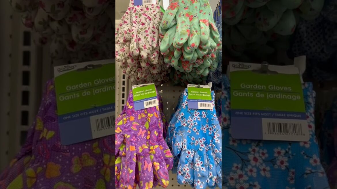 *NEW* Dollar Tree Gardening Supplies | Growing a Garden for $1 | How-To Garden on a Budget | #Shorts