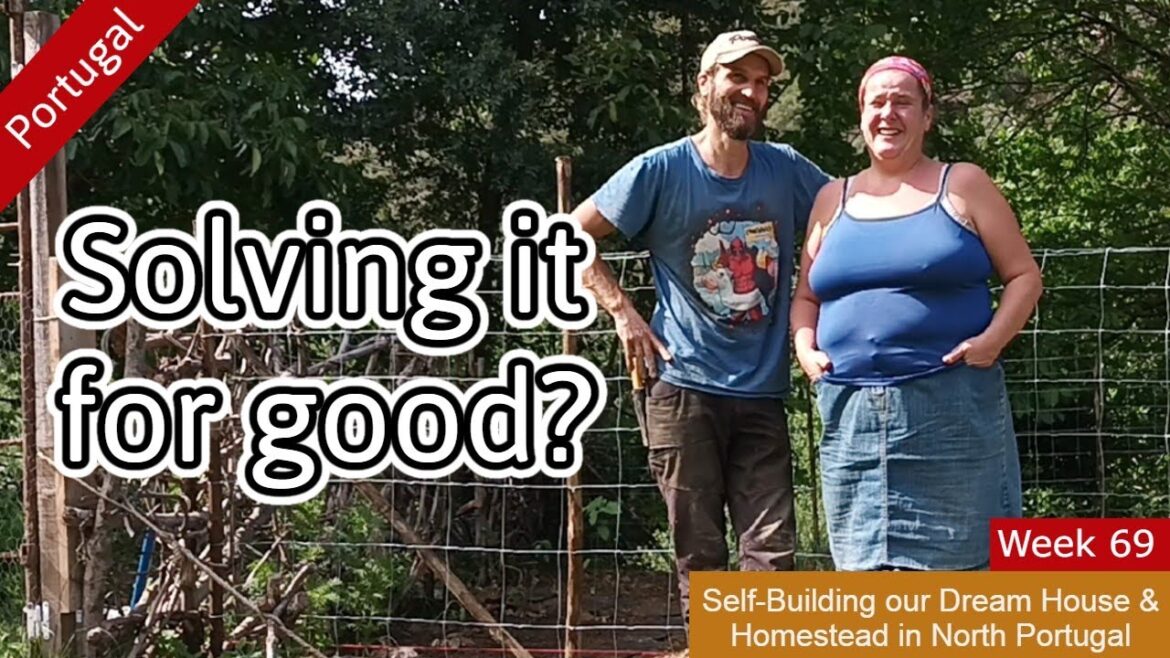 Fencing our Garden - 3rd time lucky? 🍀. 🤞. ☘️