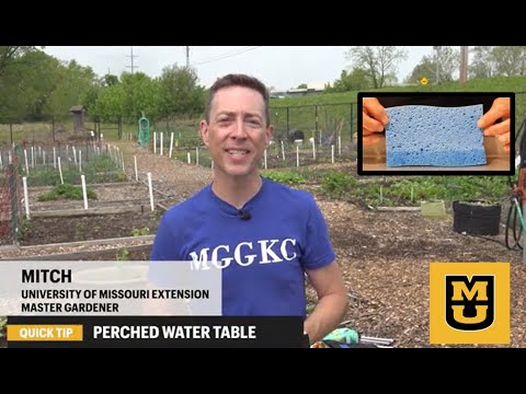 Container Gardens – why it’s a bad idea to add rocks for drainage or to take up space! Container Gardens - why it's a bad idea to add rocks for drainage or to take up space!