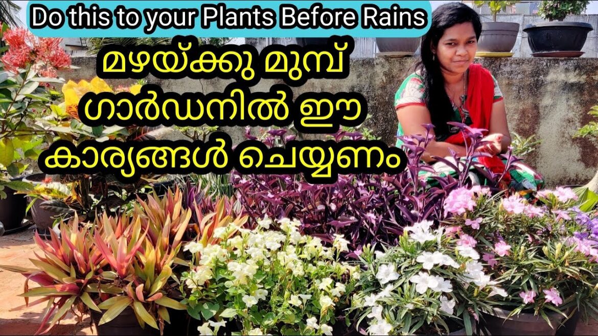 15 Tips to Save Garden Plants from Rains | മഴക്കാലം ചെടികളെ സംരക്ഷിക്കാൻ അറിഞ്ഞിരിക്കേണ്ട 12 ടിപ്സ്