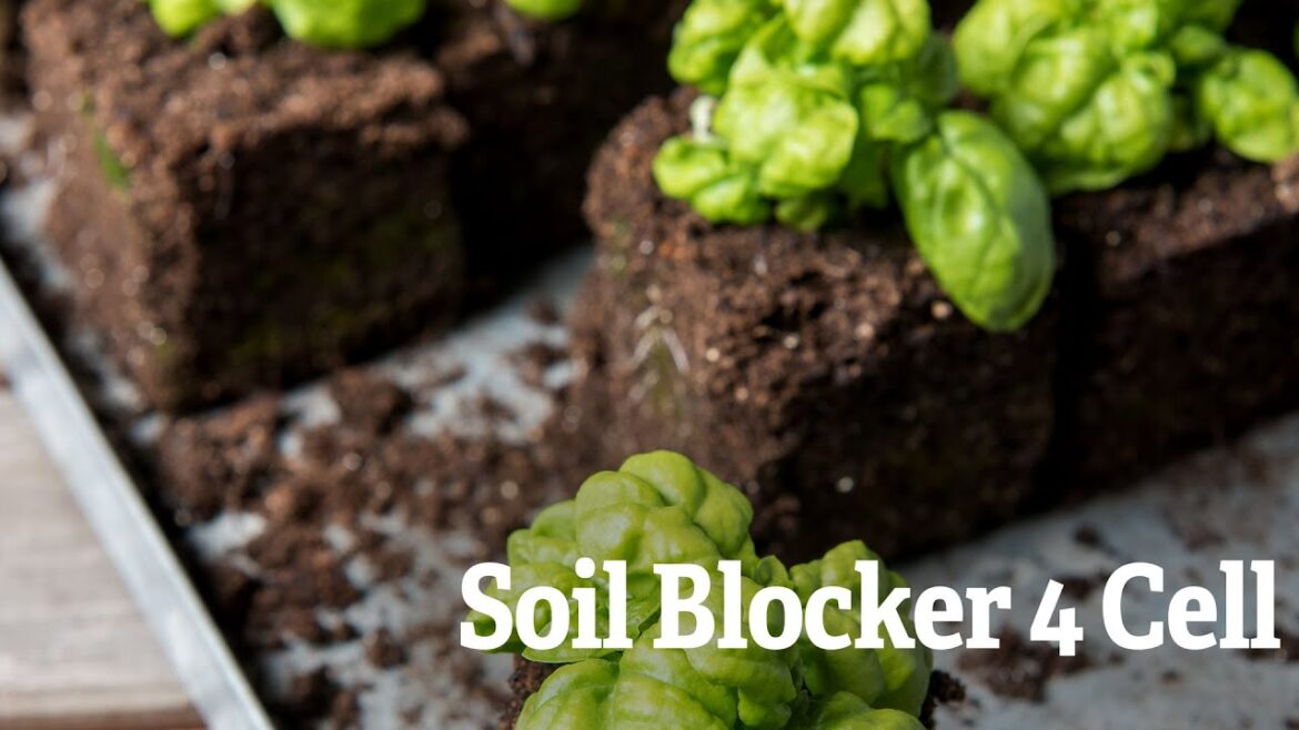 A Closer Look at The Soil Block Maker 4-Cell | Gardener’s Supply A Closer Look at The Soil Block Maker 4-Cell | Gardener's Supply