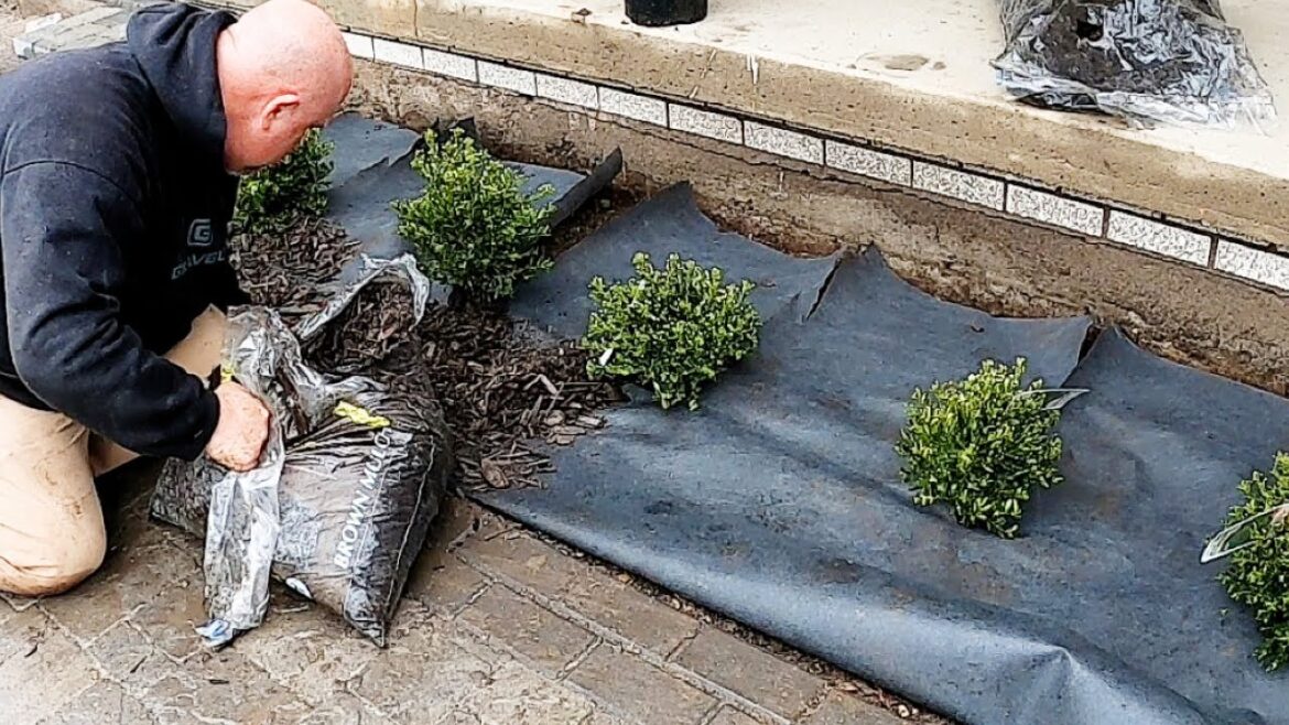 Landscape Flower Bed Makeover Start To Finish Landscape Flower Bed Makeover Start To Finish