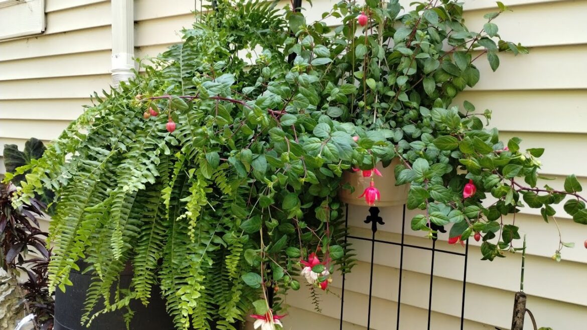 FLOWERS EVERYWHERE ❤️ CONTAINER GARDEN FOOD FOREST ❤️SMALL SPACE GARDENING CAN BE BEAUTIFUL!