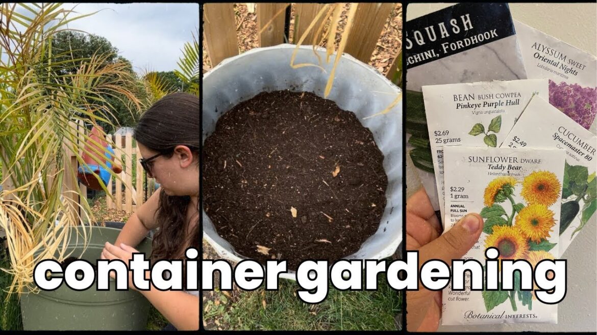 Direct sowing my container garden | zucchini, cucumbers, sunflowers | June Garden VLOG Direct sowing my container garden | zucchini, cucumbers, sunflowers | June Garden VLOG