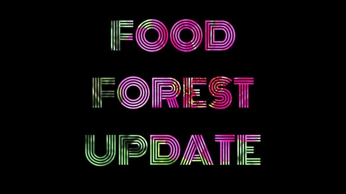 Food Forest Update and Future Plans Food Forest Update and Future Plans