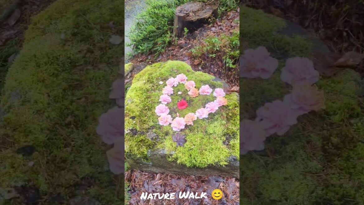 Peaceful Run/Walk in Japanese Garden