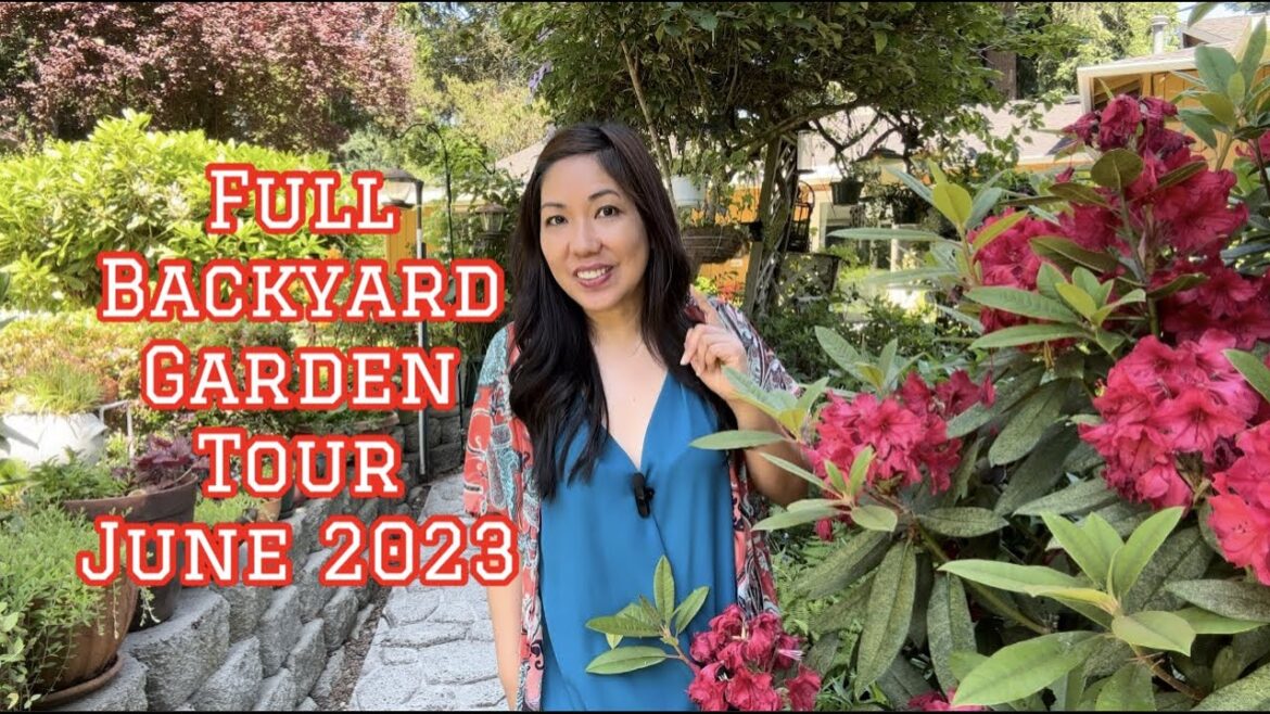 FULL BACKYARD GARDEN TOUR – JUNE 2023 FULL BACKYARD GARDEN TOUR - JUNE 2023