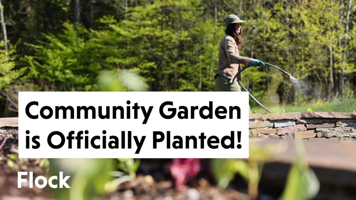 We Finally Got to Plant Our Stone Raised Bed COMMUNITY GARDEN! — Ep. 180