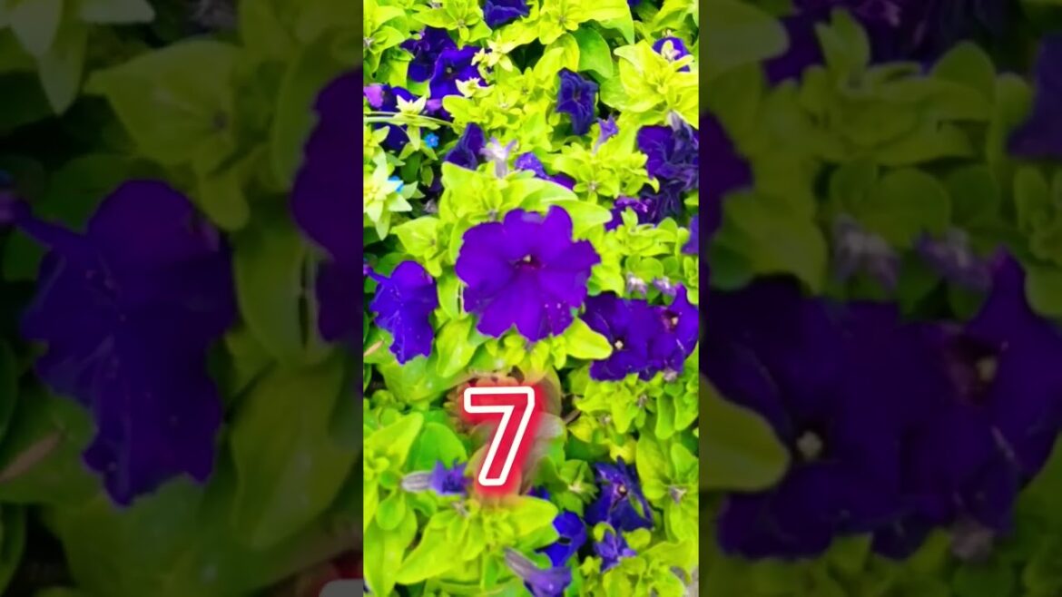 “Create Your Perfect Garden: 13 Must-Have Flowers for Every Gardener” #shorts #viral #shortsvideo "Create Your Perfect Garden: 13 Must-Have Flowers for Every Gardener" #shorts #viral #shortsvideo