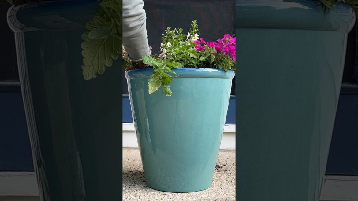 Testing out new lightweight self-watering pots