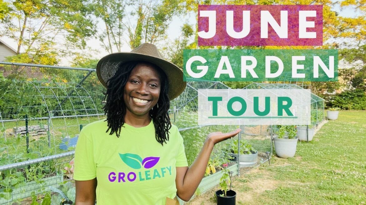 June Container and Raised Bed Garden Tour