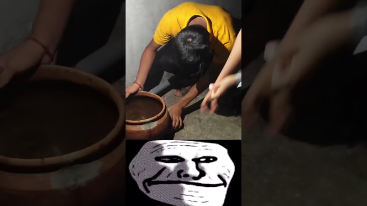 Save birds in Summer🐦|#trending #trendingshorts #shorts