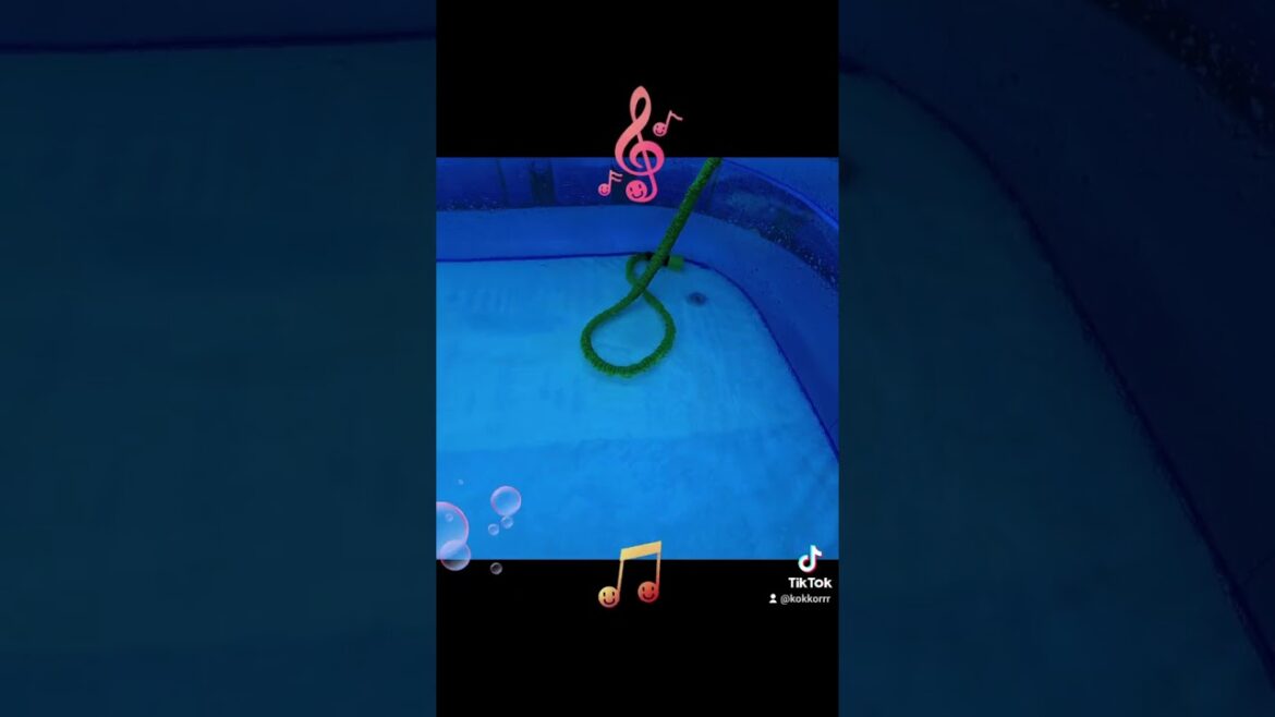 Backyard garden water hosepipe, dancing swimming having fun by itself. Happy waterslang, water pool Backyard garden water hosepipe, dancing swimming having fun by itself. Happy waterslang, water pool