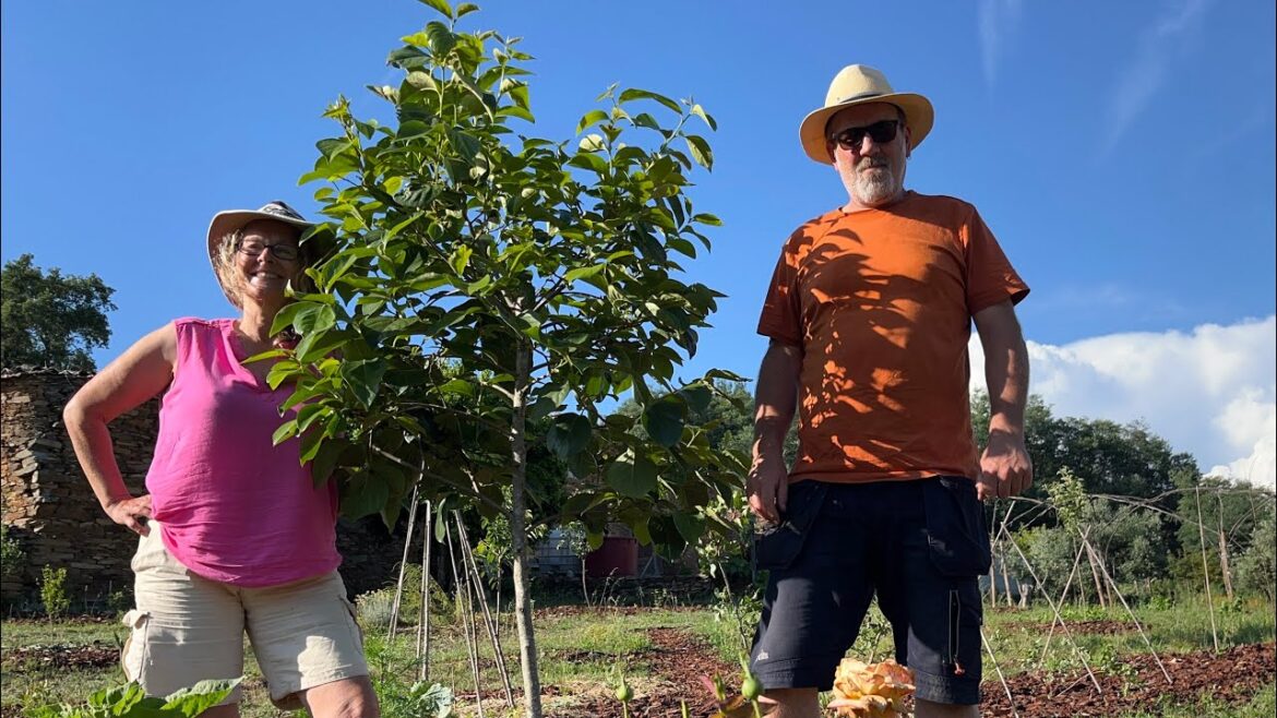 Planting Mulberry | Japanese Sansho Pepper | Goumi Berry | Food Forest Garden