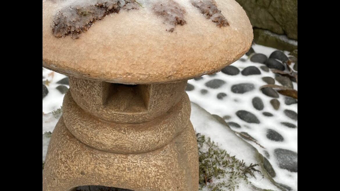 Nathan’s Private Japanese Garden in the Winter Nathan's Private Japanese Garden in the Winter