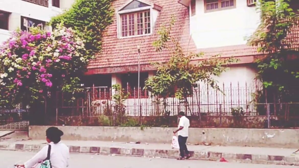 Bugenvaelia flowers tree. Garden design. Designers idea. #viral #viralvideo #share #status#subscribe Bugenvaelia flowers tree. Garden design. Designers idea. #viral #viralvideo #share #status#subscribe