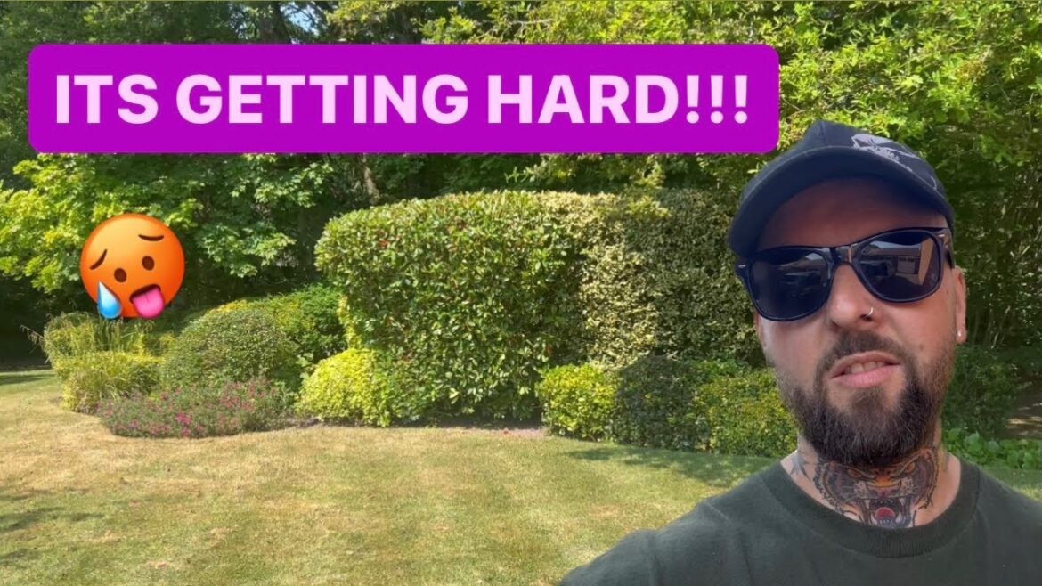 Two days work in this extreme HEAT!!!! I can’t BELIEVE we did all this work!!!!☀️🥵🔥 #heat #garden