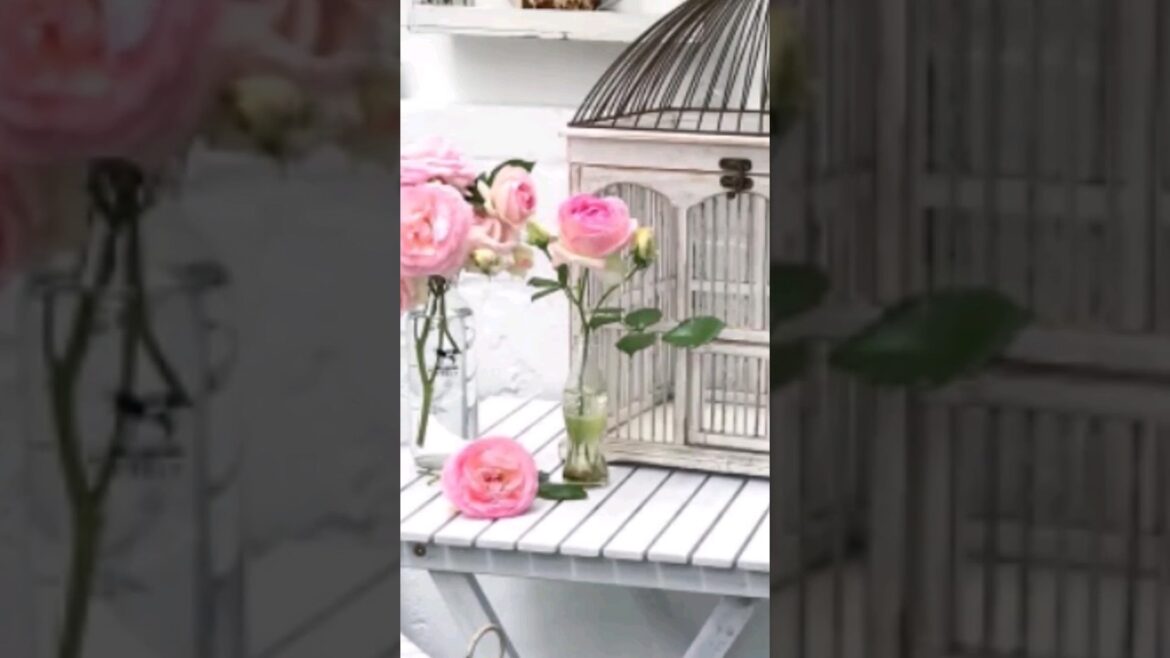 #shabbychicstyle  chic #shabbyhome #homedecoration #inspo