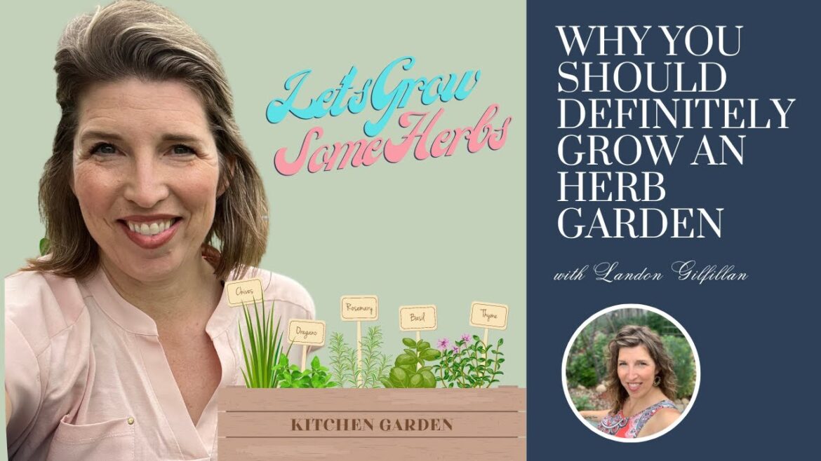 Benefits of Culinary & Medicinal Herb Gardens in the Garden (Which Herbs I’m Growing This Year) Benefits of Culinary & Medicinal Herb Gardens in the Garden (Which Herbs I'm Growing This Year)