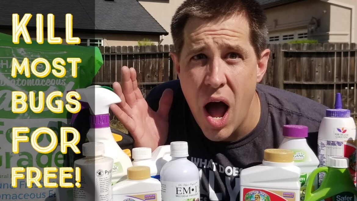 This Easy Method KILLS MOST BUGS for Free!