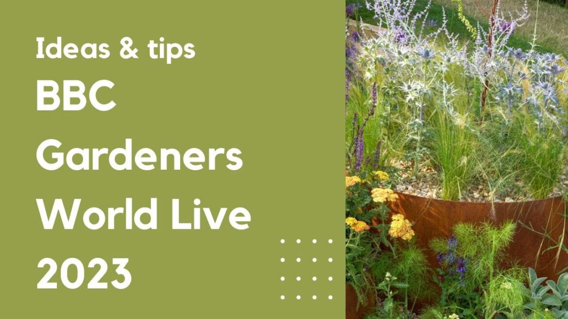 10 best ideas for your garden from BBC Gardeners World Live 2023… 10 best ideas for your garden from BBC Gardeners World Live 2023...