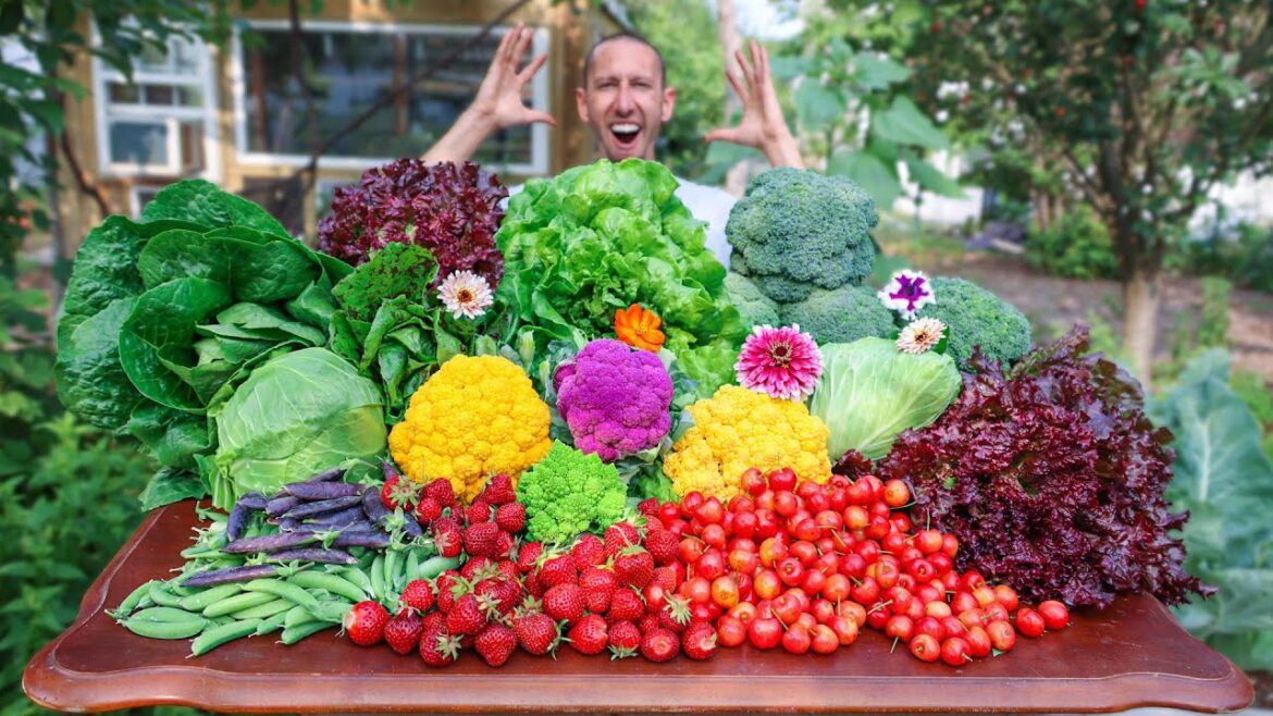 Jaw-Dropping Backyard Gardening Harvest 😮