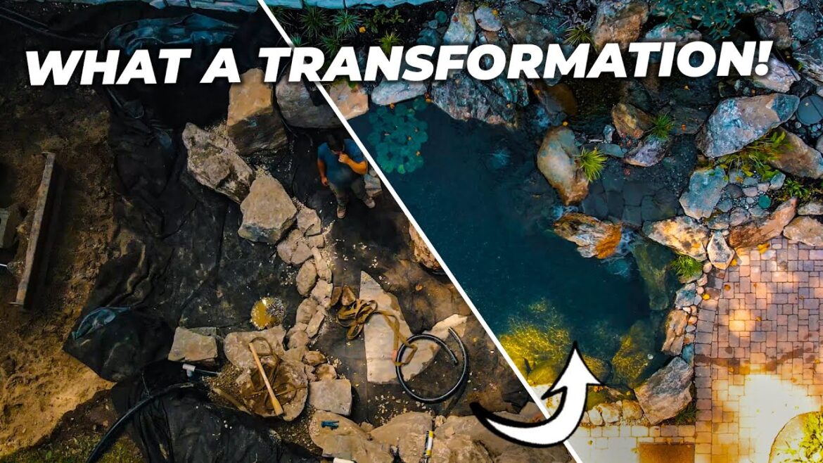 Making a 4 ft Deep Pond/Water Paradise Dream Come True?!